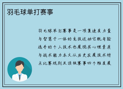 羽毛球单打赛事